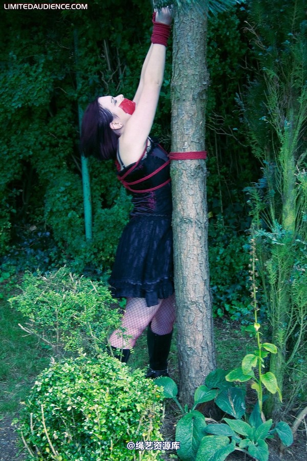 limitedaudience - 2010 carmina and the tree 第 30 张图片