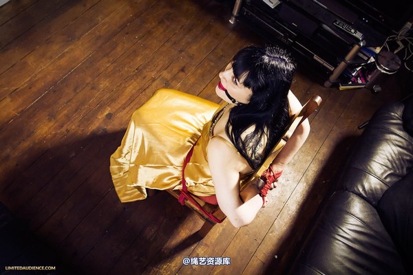 limitedaudience - 2013 dynamo golden satin 第 3 张图片