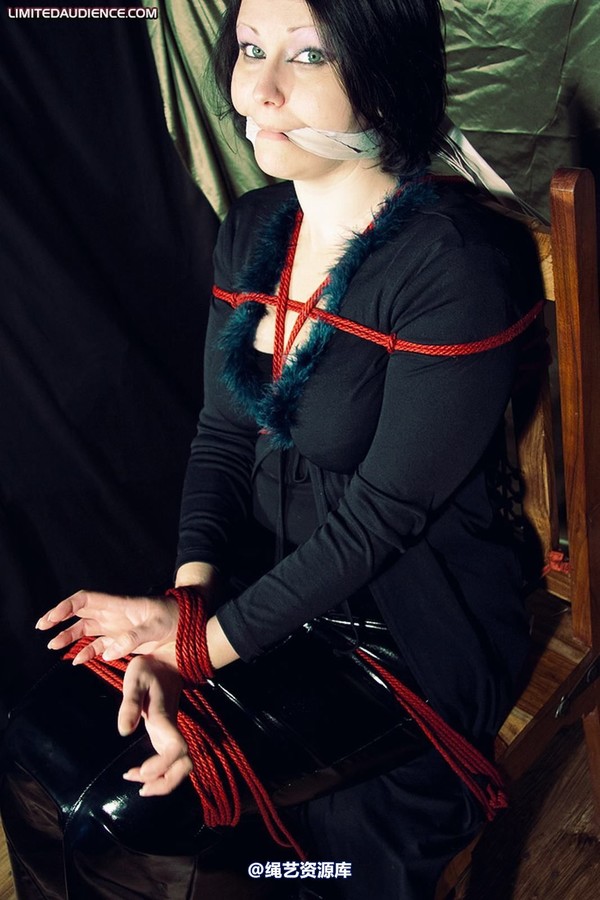 limitedaudience - 2010 deception helpless prisoner 2 第 6 张图片