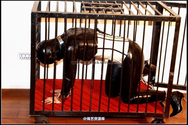 千丝万缕 - 2008-05-22-2日照片 第 25 张图片