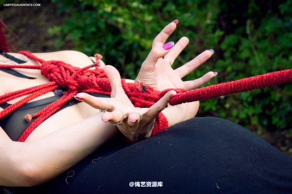 limitedaudience - 2012 elyssia tables turned 2 第 30 张图片