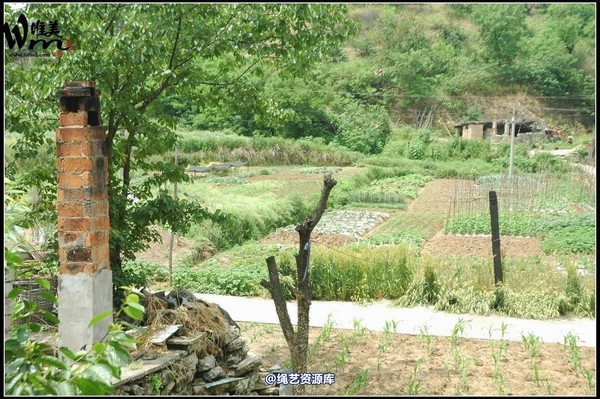 唯美之家 - 武当山之行-山脚匪事1 第 268 张图片