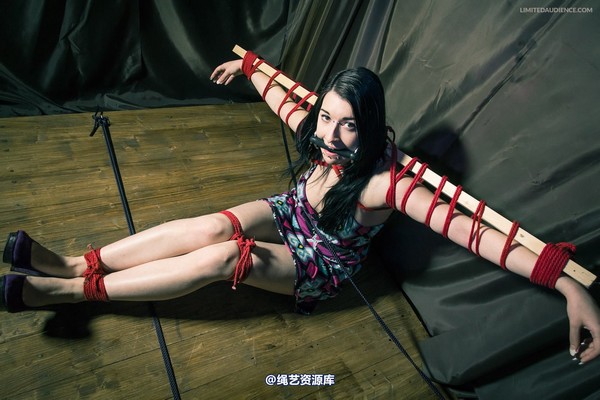 limitedaudience - 2013 stacey von time challenge 2 第 24 张图片