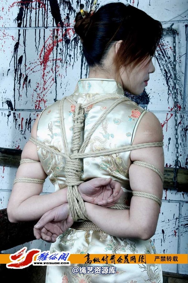 雅俗阁 - 20070821雅芝旗袍老虎凳 第 17 张图片