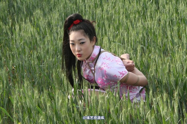 胜景山庄 - 151-麦田绳缚 第 22 张图片