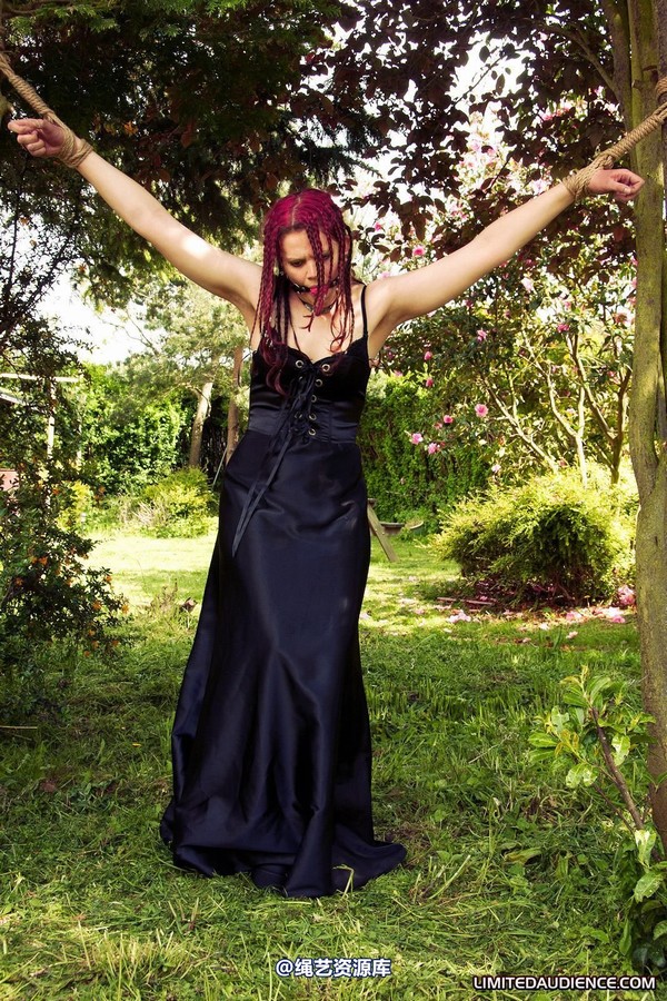 limitedaudience - 2011 beckykat between trees 2 第 27 张图片