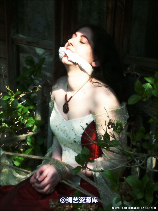 limitedaudience - 2007 catya snatched bride 第 21 张图片