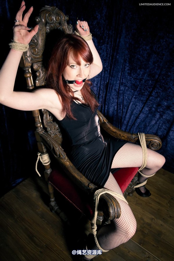 limitedaudience - 2013 syrah lee defiant captive 2 第 30 张图片