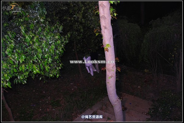 千丝万缕 - 2008-04-21日照片 第 53 张图片
