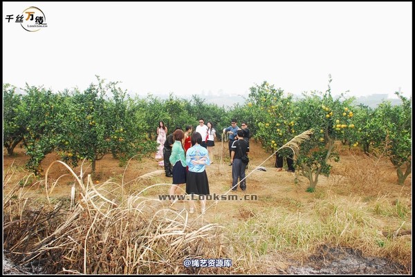 千丝万缕 - 2007-10-27日照片 第 121 张图片