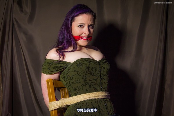 limitedaudience - 2014 caroline pierce captured damsel 2 第 9 张图片