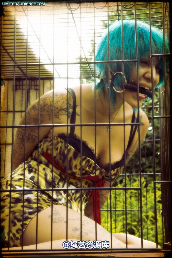 limitedaudience - 2009 b caged animal 第 35 张图片