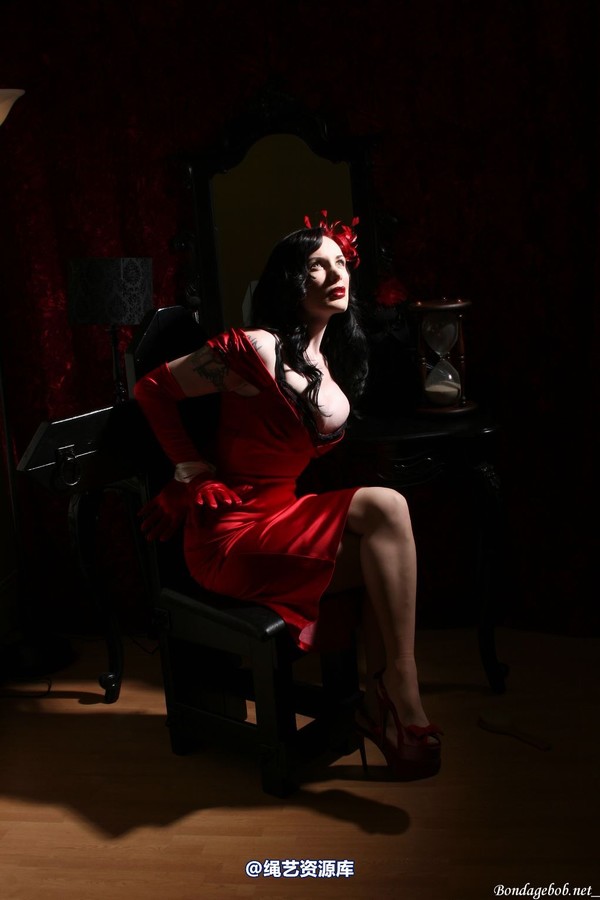bondagebob - Morrigan Noir 第 17 张图片