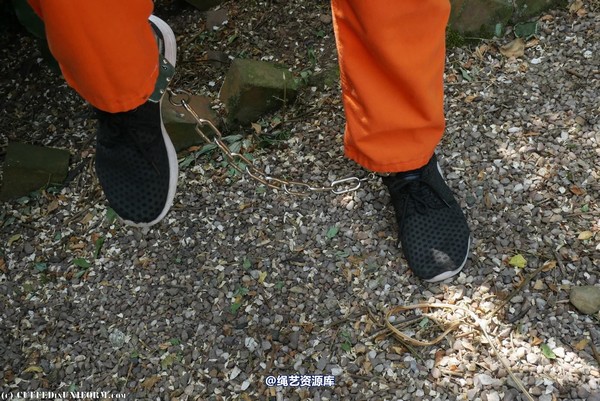 cuffedinuniform - ciu544 第 3 张图片