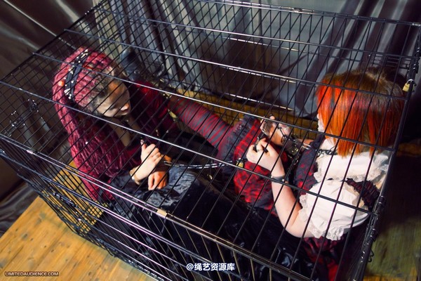 limitedaudience - 2012 beckykat six chained and caged 第 10 张图片