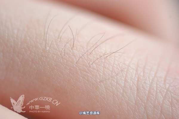 中华一晓 - 中华一晓 NO.0184 第 12 张图片