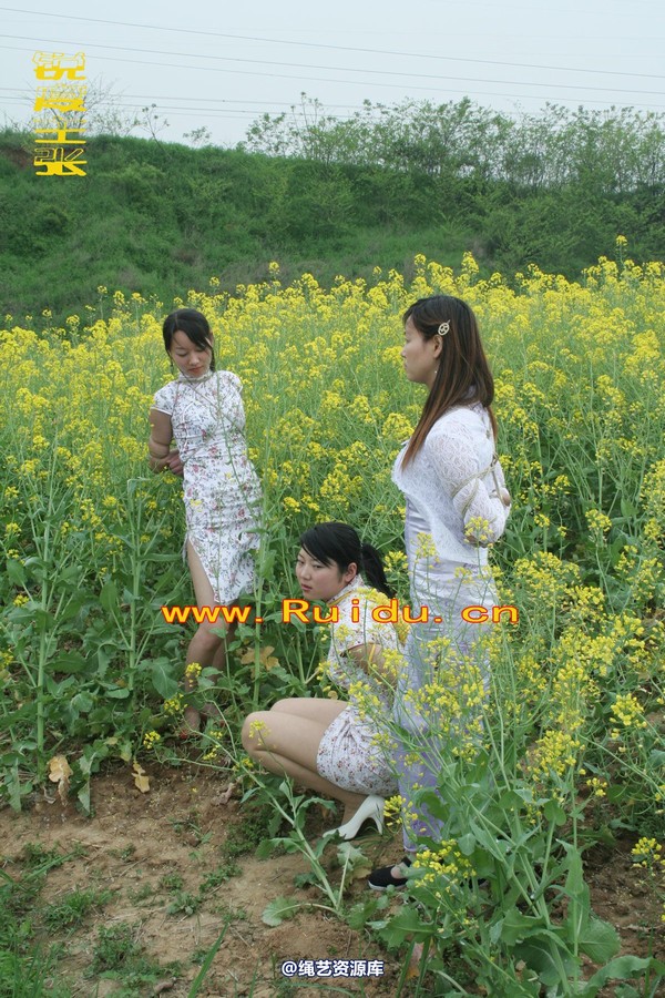 锐度主张 - 4月8日网友聚会室外篇1 第 49 张图片