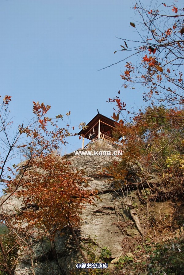千丝万缕 - 20081109 第 135 张图片