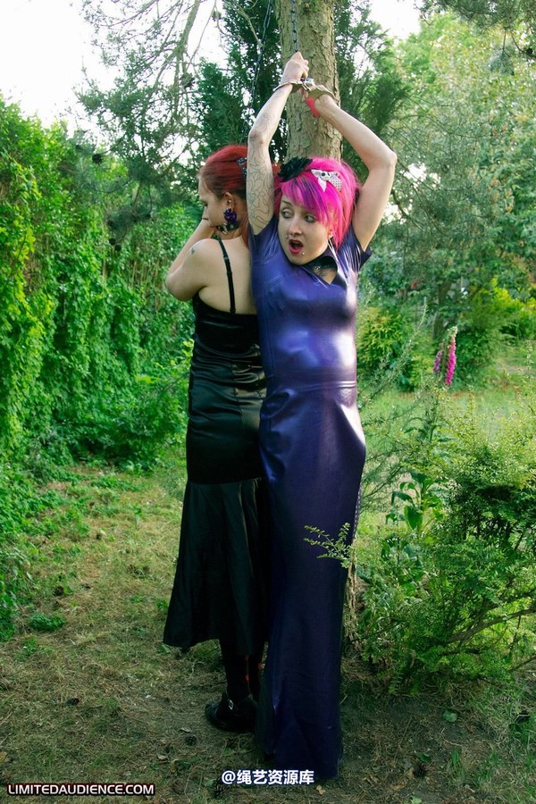 limitedaudience - 2011 beckykat loltaru chained tree seesaw 2 第 26 张图片