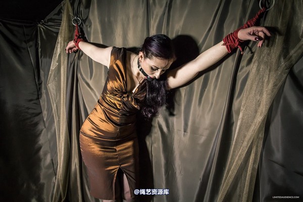 limitedaudience - 2015 caroline pierce bondage in bronze 2 第 1 张图片