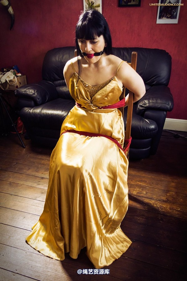 limitedaudience - 2013 dynamo golden satin 2 第 16 张图片