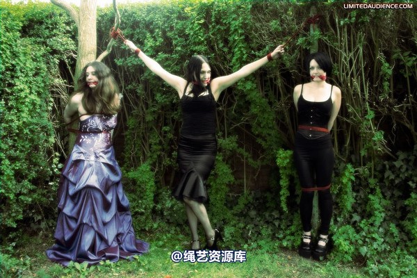 limitedaudience - 2009 catya elyssia lolly pleasure reserves 2 第 23 张图片