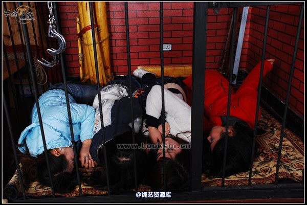 千丝万缕 - 2007-11-28-1日照片 第 76 张图片