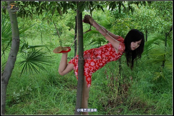 千丝万缕 - 2008-05-07日照片 第 54 张图片
