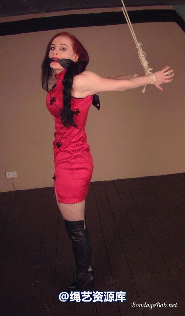 bondagebob - Morrigan Higher! 第 13 张图片
