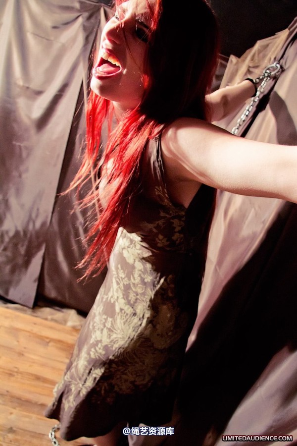 limitedaudience - 2011 ivory penance at home 第 5 张图片