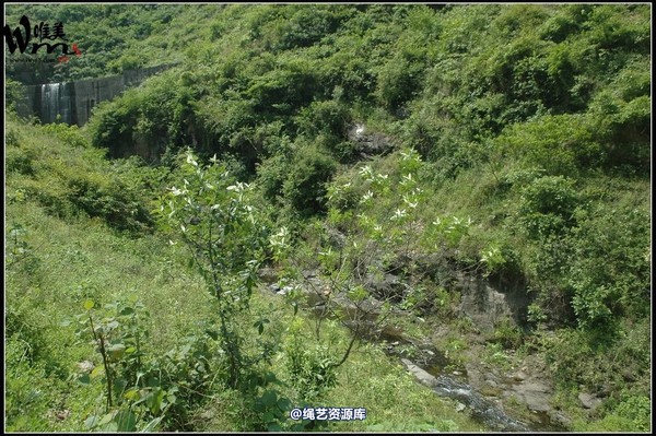 唯美之家 - 武当山之行-山间溪水畔 第 225 张图片