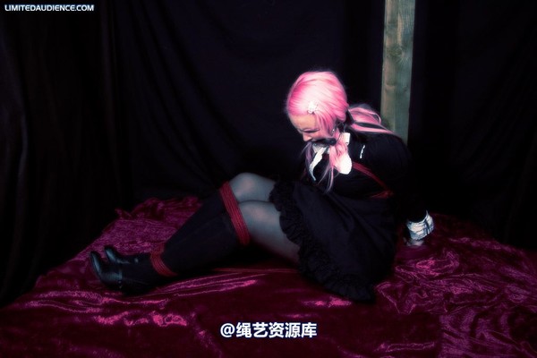 limitedaudience - 2009 assisted suicide taken 2 第 6 张图片