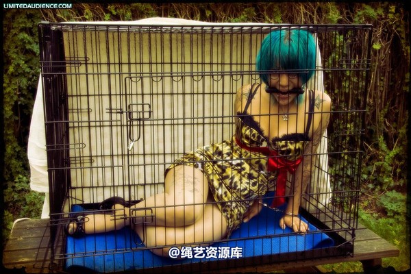 limitedaudience - 2009 b caged animal 第 1 张图片