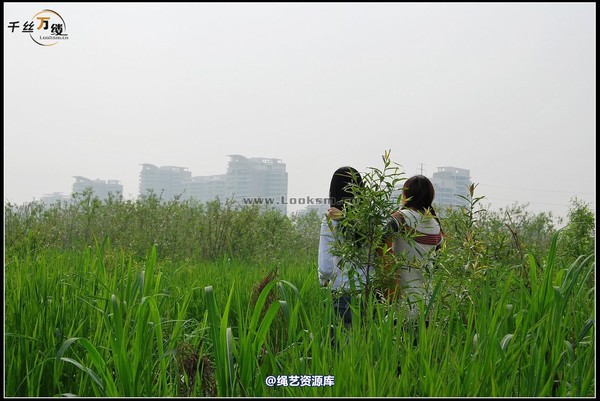 千丝万缕 - 2008-04-06日照片 第 12 张图片