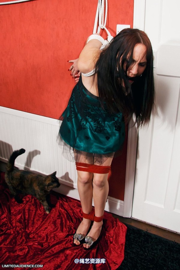 limitedaudience - 2011 elyssia experimental punishment 2 第 24 张图片