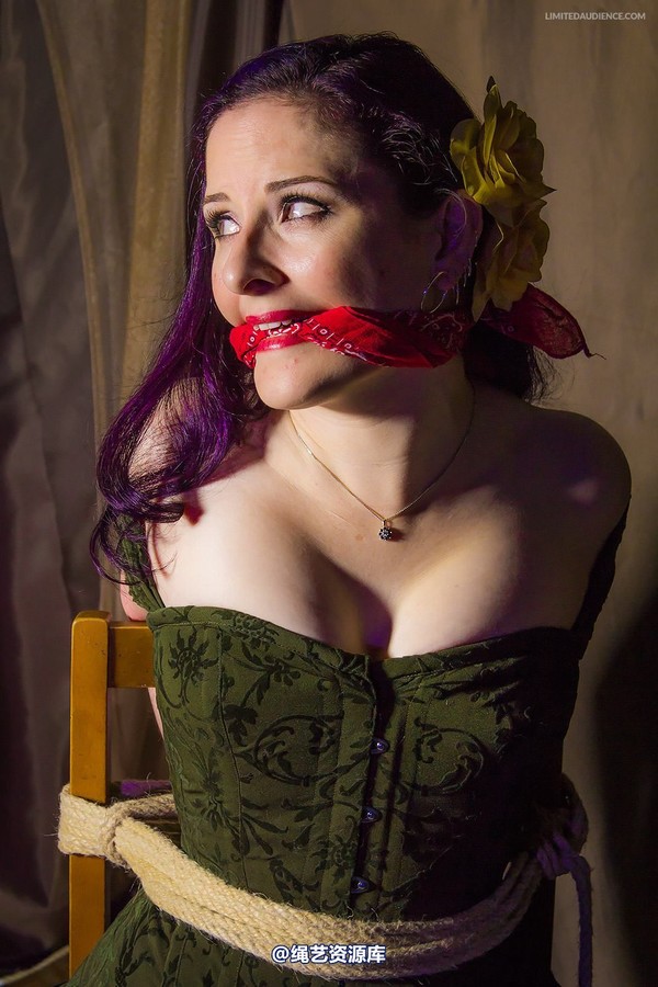 limitedaudience - 2014 caroline pierce captured damsel 2 第 15 张图片