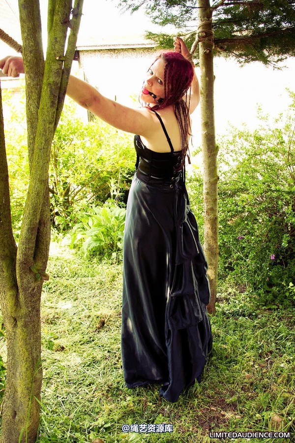 limitedaudience - 2011 beckykat between trees 2 第 1 张图片