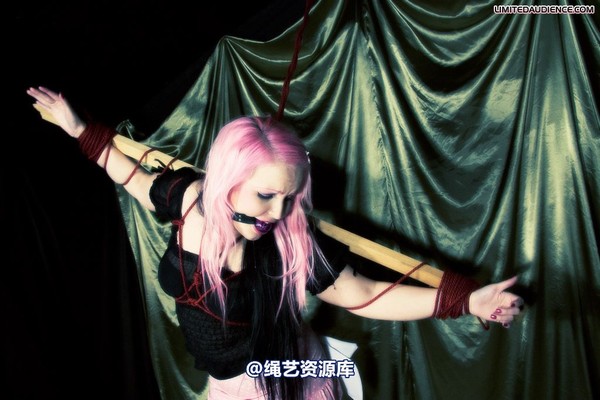 limitedaudience - 2009 assisted suicide profoundly entangled 第 12 张图片