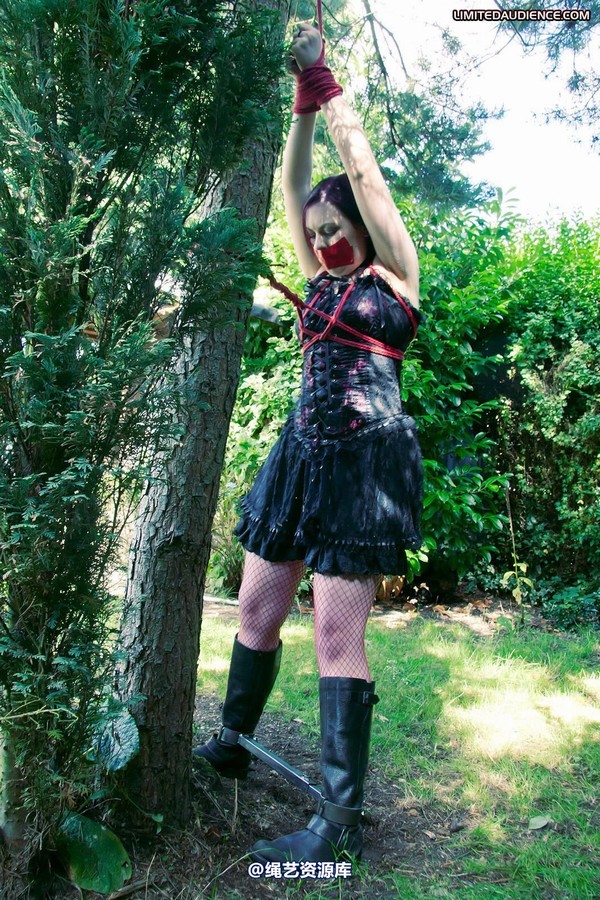 limitedaudience - 2011 carmina and the tree 3 第 9 张图片