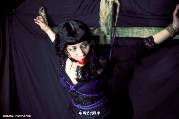 limitedaudience - 2009 veriddian hoissy 2 第 14 张图片