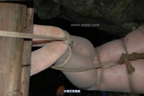 千丝万缕 - 20081113 第 91 张图片