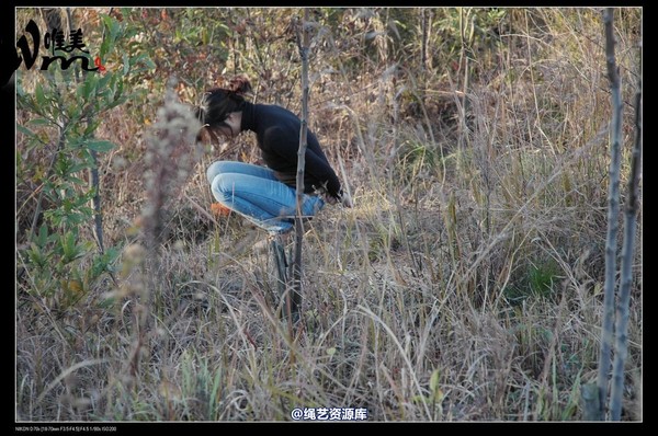 唯美之家 - 2008-11-27萧雅 第 39 张图片