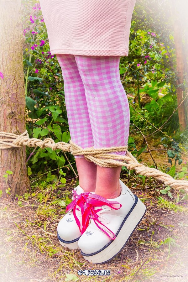 limitedaudience - 2015 kittysocks between trees 第 19 张图片