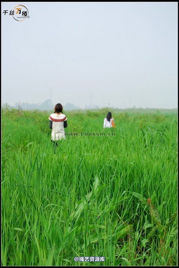 千丝万缕 - 2008-04-06日照片 第 1 张图片