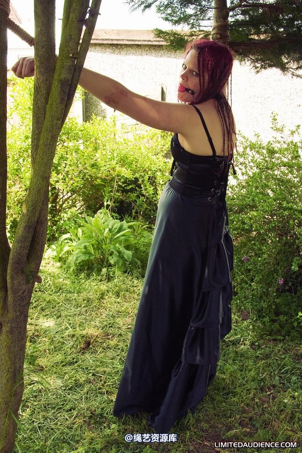 limitedaudience - 2010 beckykat between trees 第 29 张图片