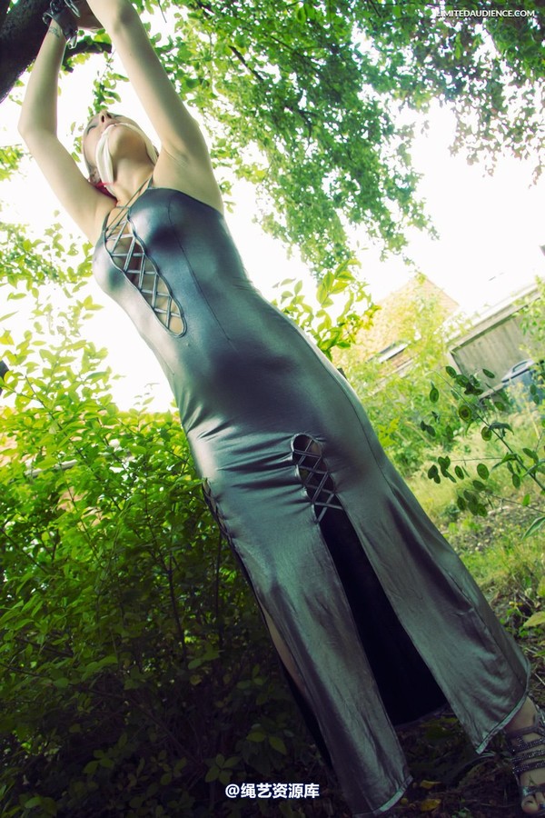 limitedaudience - 2013 elyssia private dancer 第 29 张图片