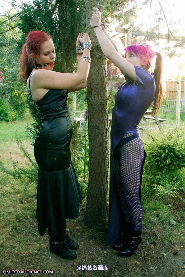 limitedaudience - 2011 beckykat loltaru chained tree seesaw 2 第 1 张图片