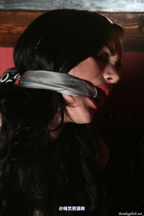 bondagebob - Morrigan take a seat 第 34 张图片