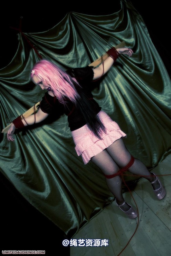 limitedaudience - 2009 assisted suicide profoundly entangled 2 第 20 张图片
