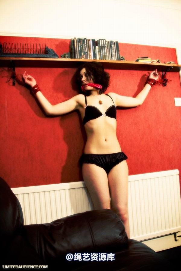 limitedaudience - 2009 dominick destruction the purloined damsel 第 8 张图片